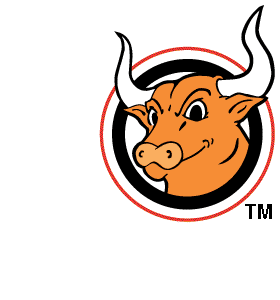 Bulls-Eye icon